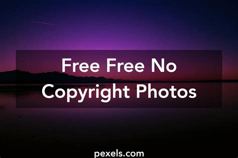 pictures of free|free pictures online no copyright.